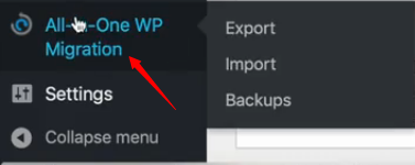 Exporting your website