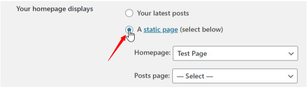 How to set homepage in WordPress