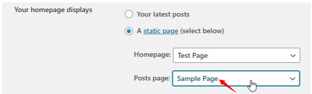 How to set homepage in WordPress
